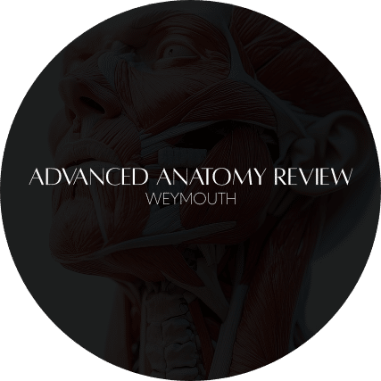 Advanced anatomy review revised